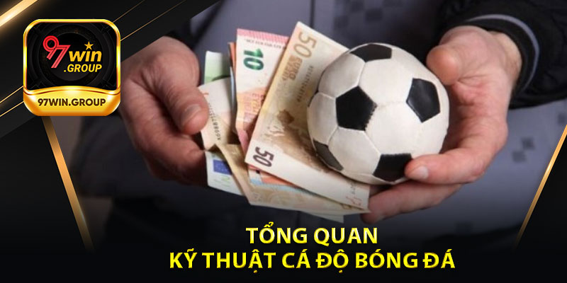 Kỹ Thuật Cá Độ Bóng Đá - Tối Ưu Chiến Lược Tại 97Win - rilohe