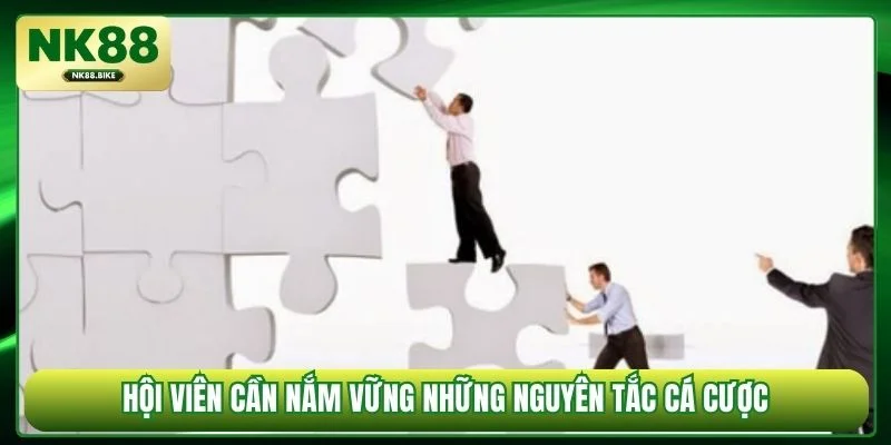 Chơi Có Trách Nhiệm NK88 – Nền Tảng Cá Cược An Toàn - rilohe