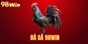 Tin Tức - 97win.group - rilohe