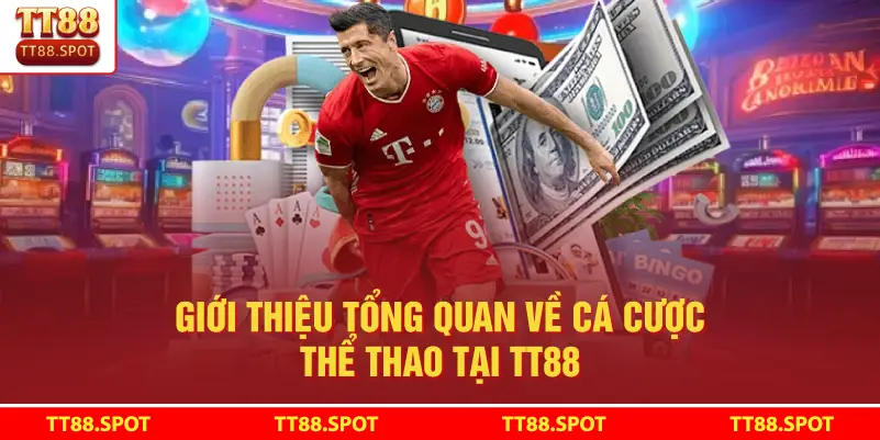 Cá Cược Thể Thao Tại TT88: Hướng Dẫn Chọn Kèo, Giữ Nhịp Chơi - rilohe