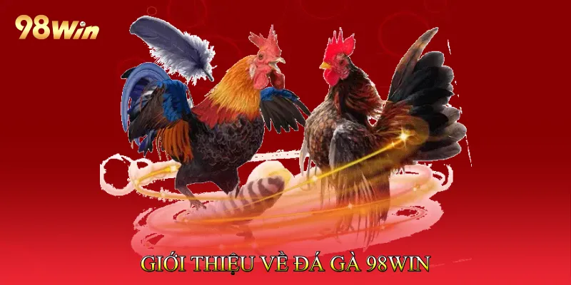 Đá Gà 98win Đỉnh Cao – Trực Tiếp Kịch Tính Mỗi Ngày - rilohe